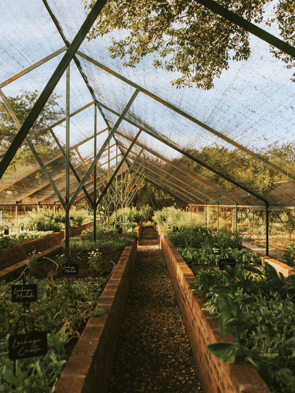 Organic vegetable garden greenhouse at Estancia El Colibrí